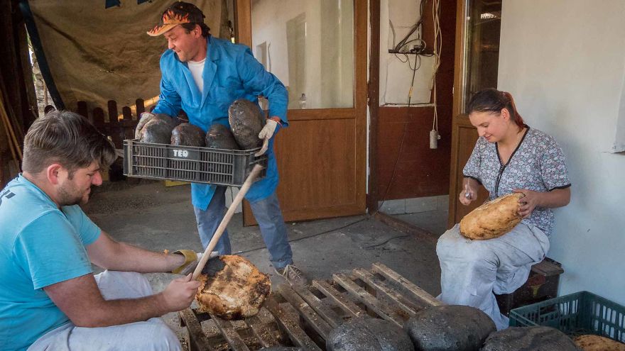 14 Aspects Of Rural Life In Romania That Will Fascinate You 14 Aspects Of Rural Life In Romania That Will Fascinate You