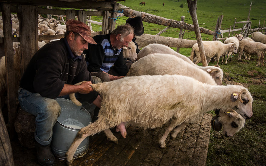 14 Aspects Of Rural Life In Romania That Will Fascinate You 14 Aspects Of Rural Life In Romania That Will Fascinate You