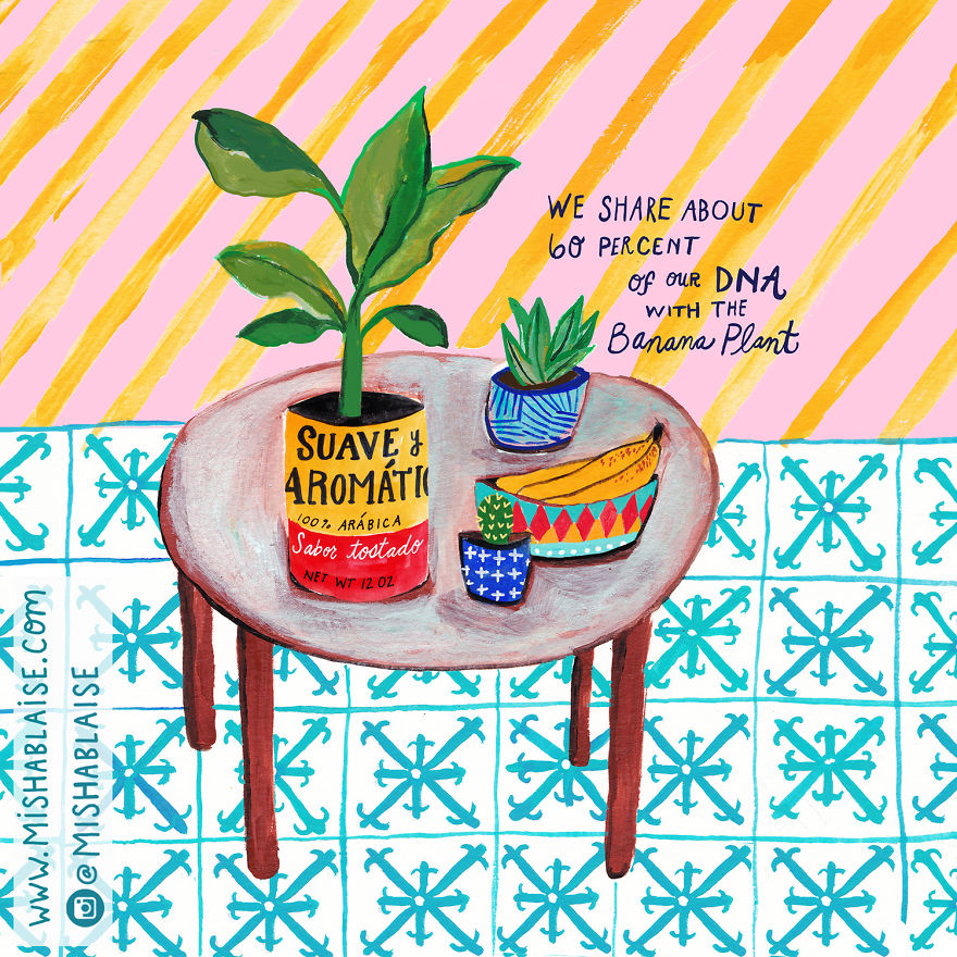 I Illustrated Some Of The Freaking Amazing Ways We Are Always Connected To The Universe And All Life On Earth I Illustrated Some Of The Freaking Amazing Ways We Are Always Connected To The Universe And All Life On Earth