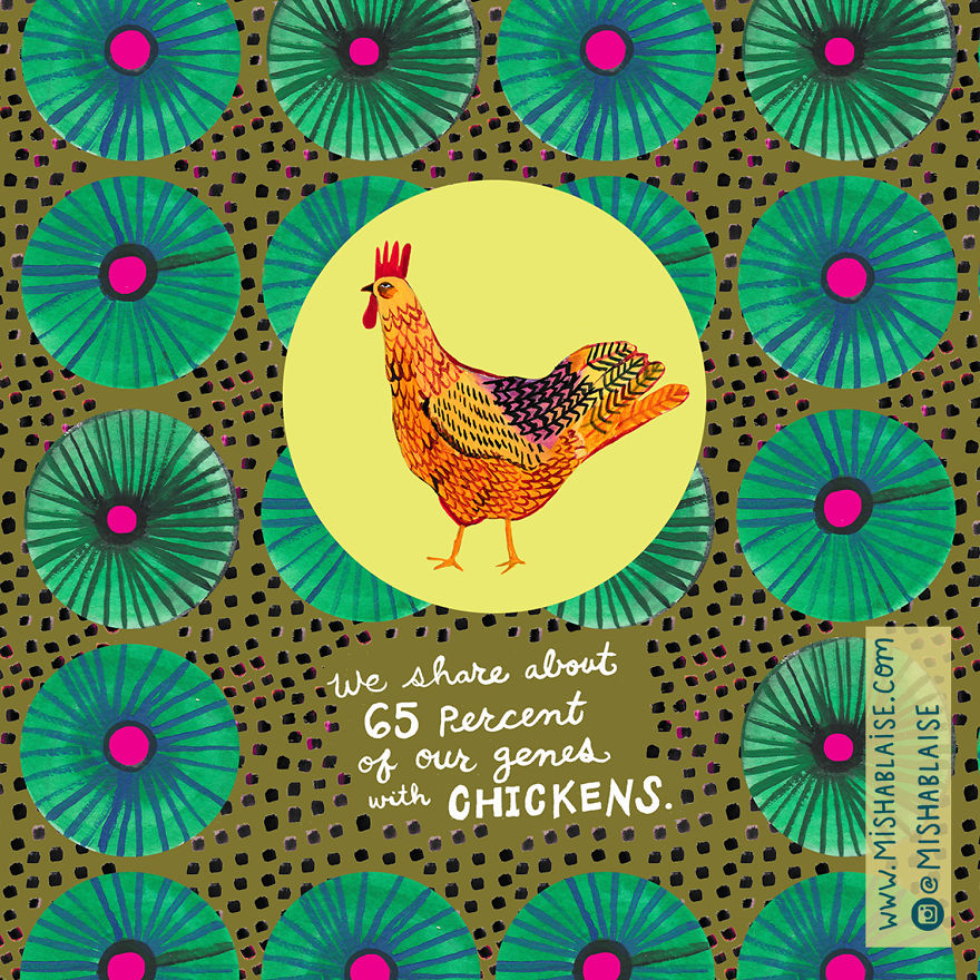 I Illustrated Some Of The Freaking Amazing Ways We Are Always Connected To The Universe And All Life On Earth I Illustrated Some Of The Freaking Amazing Ways We Are Always Connected To The Universe And All Life On Earth