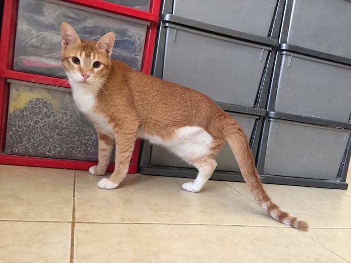 A One In A Million Meeting With A Lady With A Heart Of Gold A One In A Million Meeting With A Lady With A Heart Of Gold