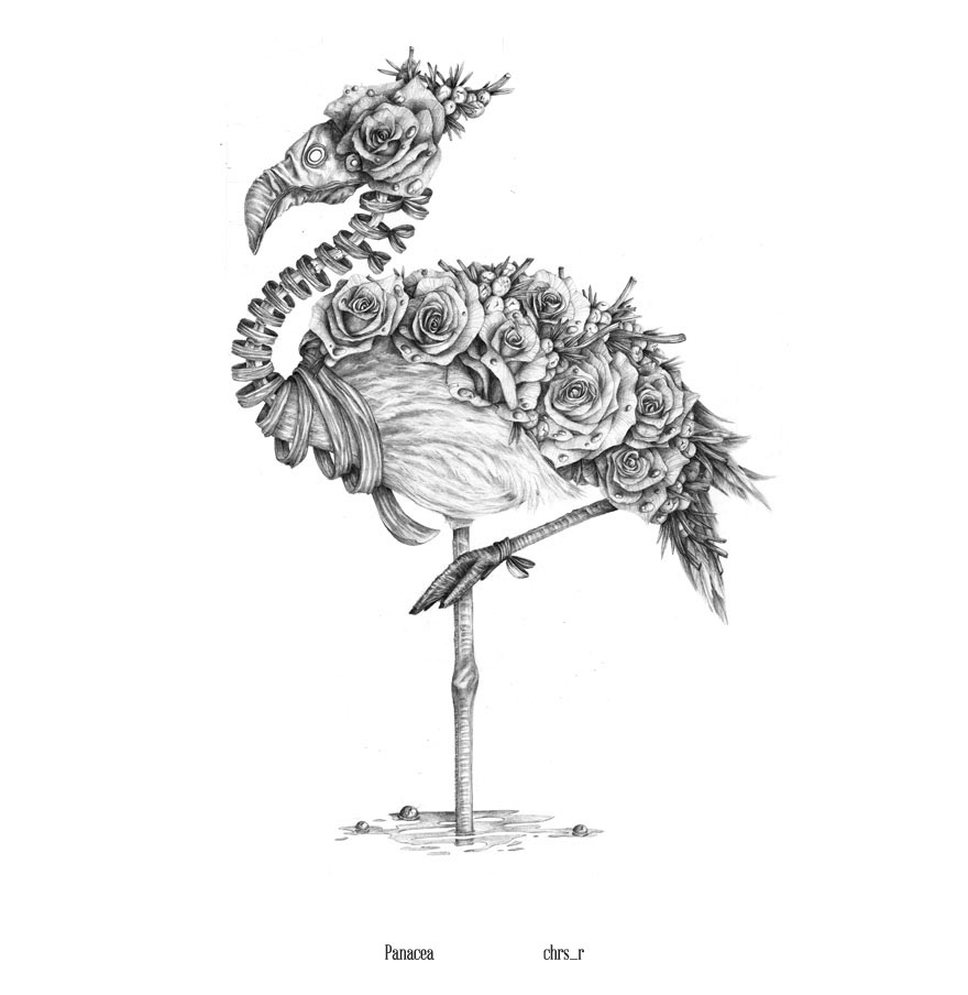 After Years Of Failing To Find My Drawing Style, I’m Finally Proud To Present These Animal Drawings After Years Of Failing To Find My Drawing Style, I’m Finally Proud To Present These Animal Drawings