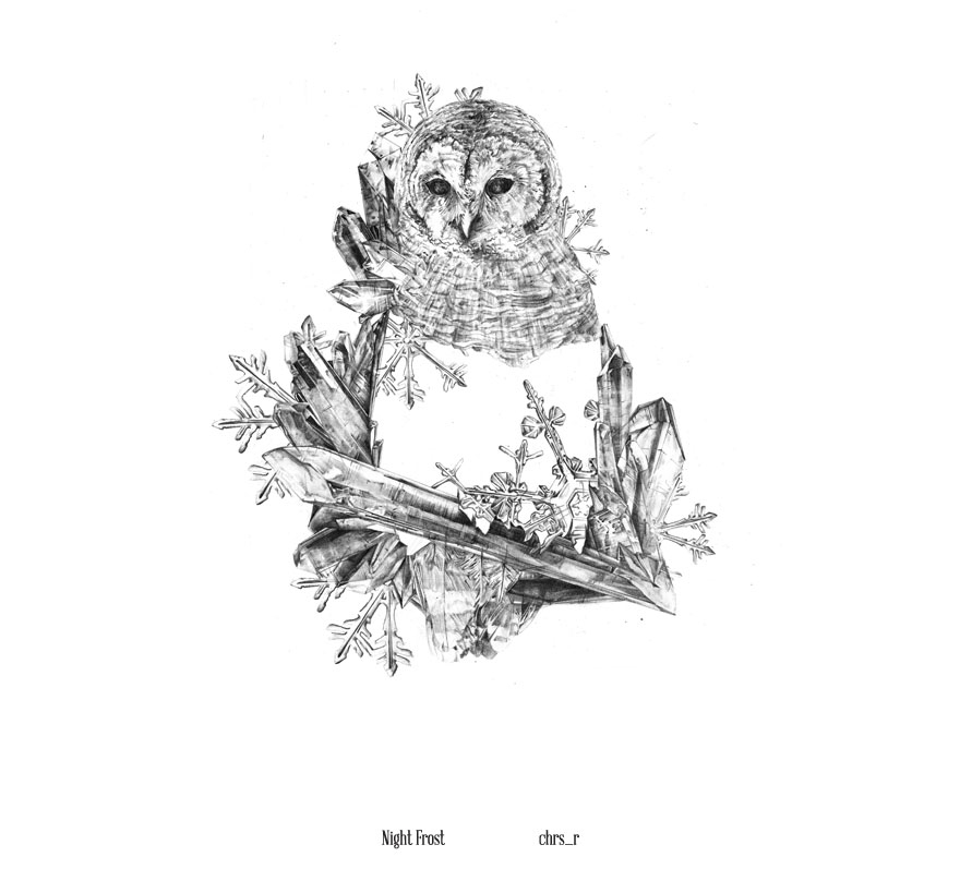 After Years Of Failing To Find My Drawing Style, I’m Finally Proud To Present These Animal Drawings After Years Of Failing To Find My Drawing Style, I’m Finally Proud To Present These Animal Drawings