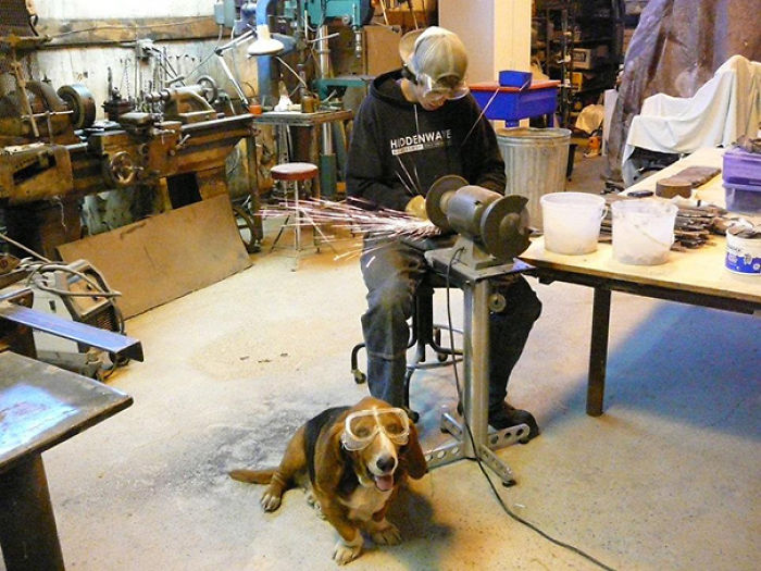 Today Is National Take Your Dog to Work Day (30 Pics) Today Is National Take Your Dog to Work Day (30 Pics)