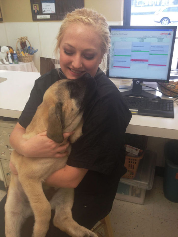 Today Is National Take Your Dog to Work Day (30 Pics) Today Is National Take Your Dog to Work Day (30 Pics)