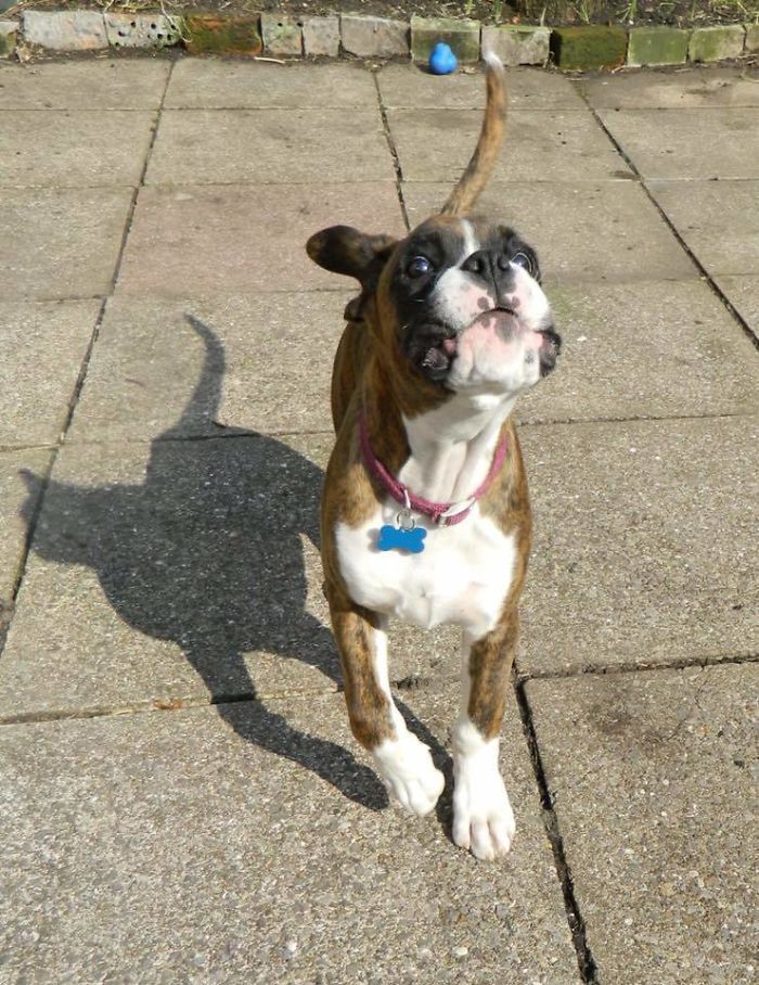 184 Incredible Shadows That Will Make You Look Twice 184 Incredible Shadows That Will Make You Look Twice