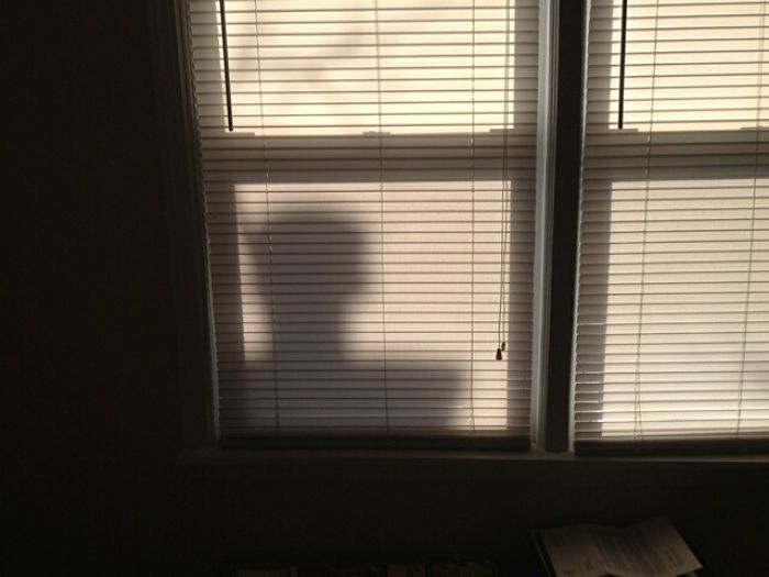 184 Incredible Shadows That Will Make You Look Twice 184 Incredible Shadows That Will Make You Look Twice