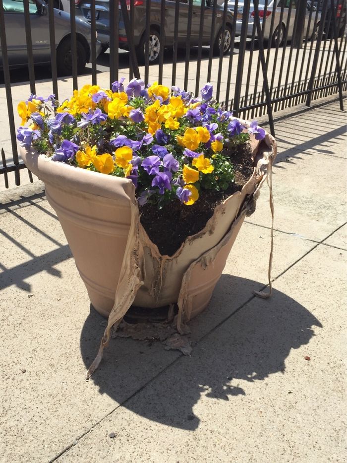 184 Incredible Shadows That Will Make You Look Twice 184 Incredible Shadows That Will Make You Look Twice