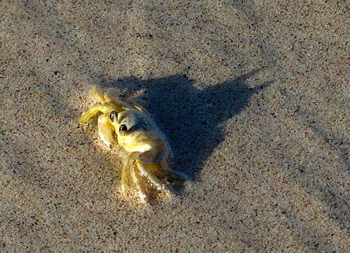 184 Incredible Shadows That Will Make You Look Twice 184 Incredible Shadows That Will Make You Look Twice