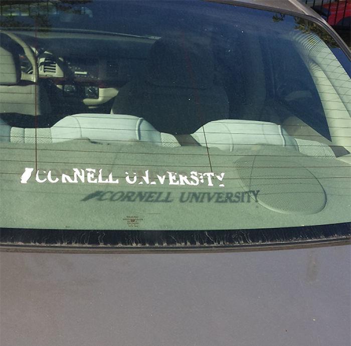 184 Incredible Shadows That Will Make You Look Twice 184 Incredible Shadows That Will Make You Look Twice