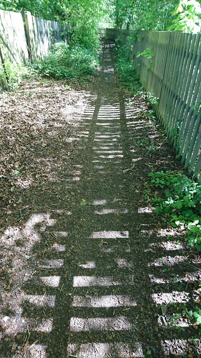 184 Incredible Shadows That Will Make You Look Twice 184 Incredible Shadows That Will Make You Look Twice