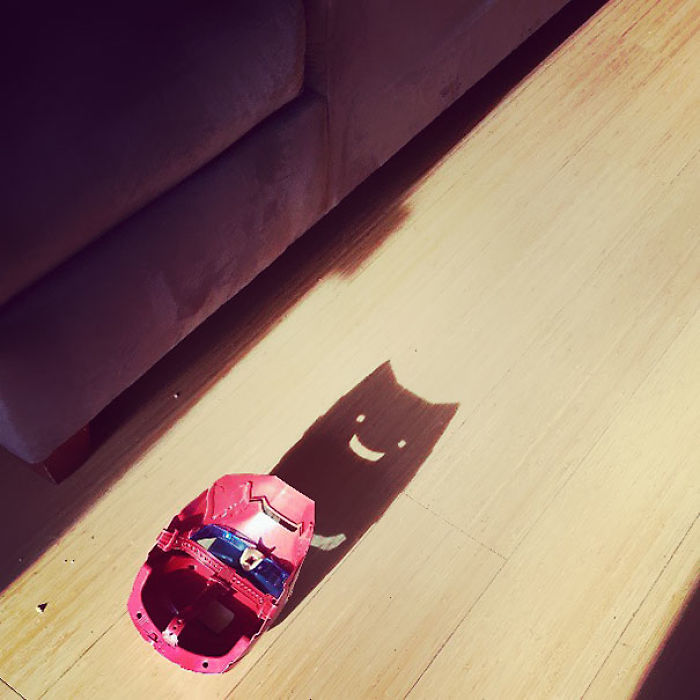 184 Incredible Shadows That Will Make You Look Twice 184 Incredible Shadows That Will Make You Look Twice