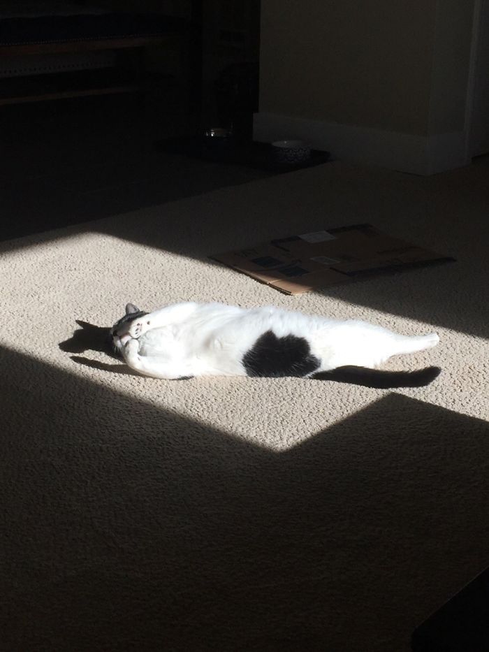 184 Incredible Shadows That Will Make You Look Twice 184 Incredible Shadows That Will Make You Look Twice