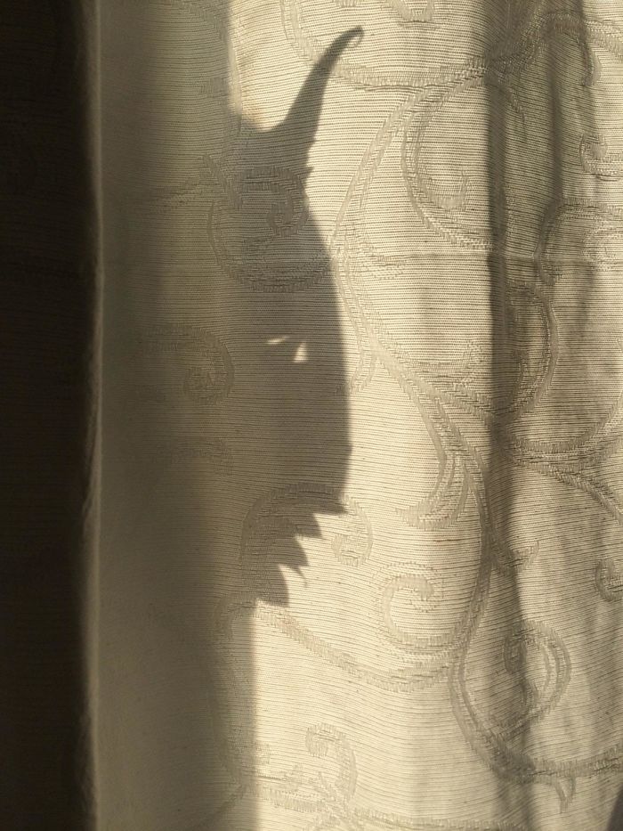 184 Incredible Shadows That Will Make You Look Twice 184 Incredible Shadows That Will Make You Look Twice