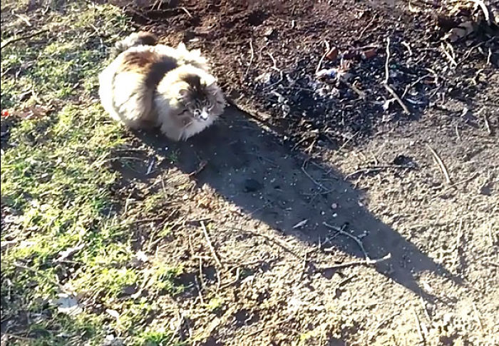 184 Incredible Shadows That Will Make You Look Twice 184 Incredible Shadows That Will Make You Look Twice