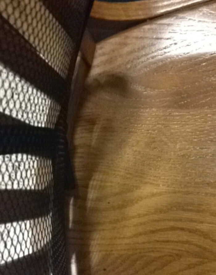 184 Incredible Shadows That Will Make You Look Twice 184 Incredible Shadows That Will Make You Look Twice