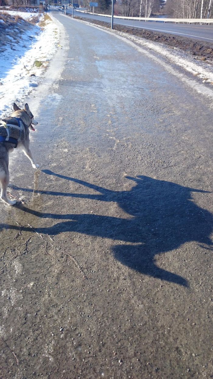 184 Incredible Shadows That Will Make You Look Twice 184 Incredible Shadows That Will Make You Look Twice