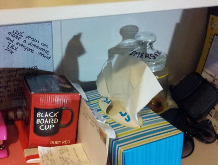 184 Incredible Shadows That Will Make You Look Twice 184 Incredible Shadows That Will Make You Look Twice