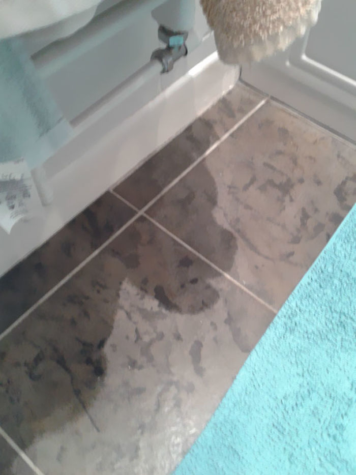 184 Incredible Shadows That Will Make You Look Twice 184 Incredible Shadows That Will Make You Look Twice