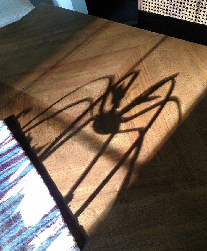 184 Incredible Shadows That Will Make You Look Twice 184 Incredible Shadows That Will Make You Look Twice