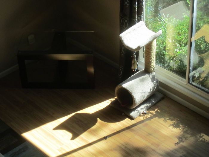 184 Incredible Shadows That Will Make You Look Twice 184 Incredible Shadows That Will Make You Look Twice