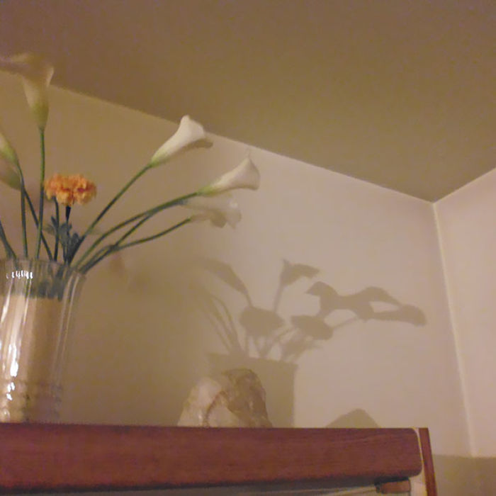 184 Incredible Shadows That Will Make You Look Twice 184 Incredible Shadows That Will Make You Look Twice