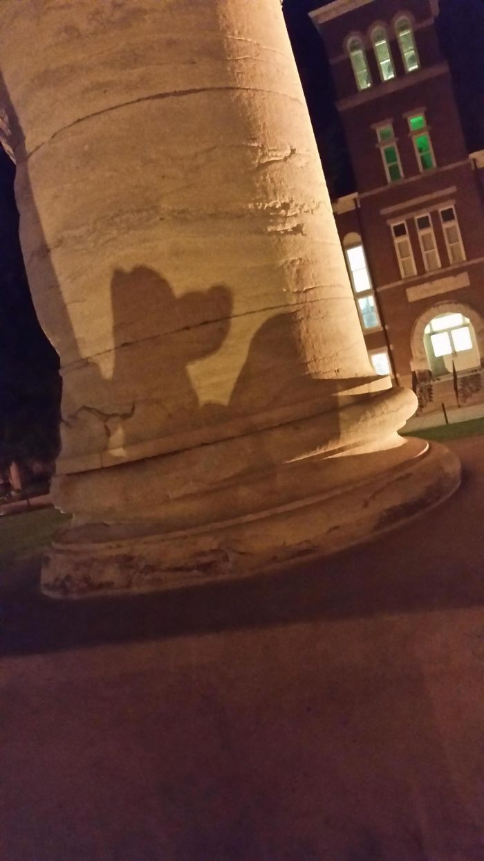 184 Incredible Shadows That Will Make You Look Twice 184 Incredible Shadows That Will Make You Look Twice