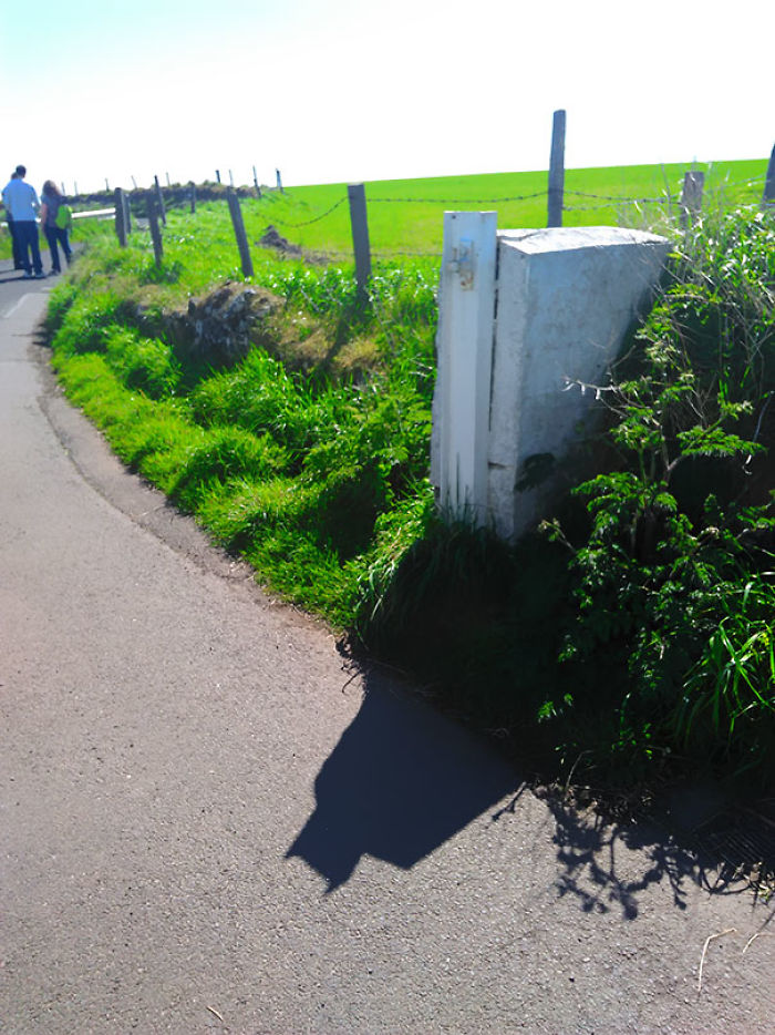 184 Incredible Shadows That Will Make You Look Twice 184 Incredible Shadows That Will Make You Look Twice