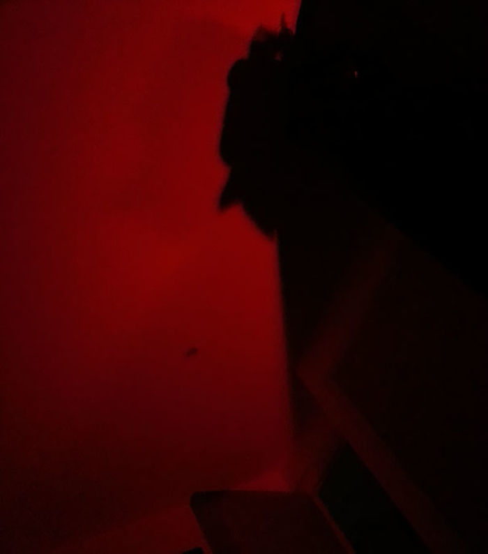 184 Incredible Shadows That Will Make You Look Twice 184 Incredible Shadows That Will Make You Look Twice