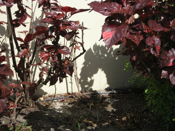 184 Incredible Shadows That Will Make You Look Twice 184 Incredible Shadows That Will Make You Look Twice