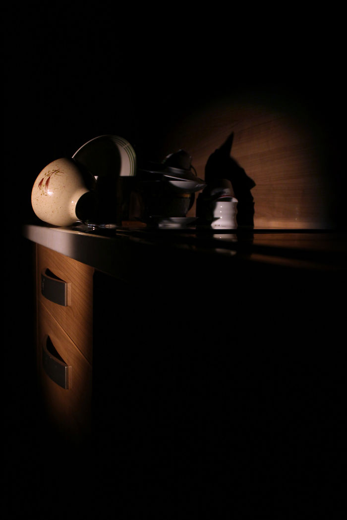 184 Incredible Shadows That Will Make You Look Twice 184 Incredible Shadows That Will Make You Look Twice