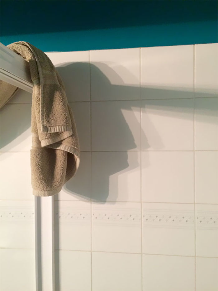 184 Incredible Shadows That Will Make You Look Twice 184 Incredible Shadows That Will Make You Look Twice