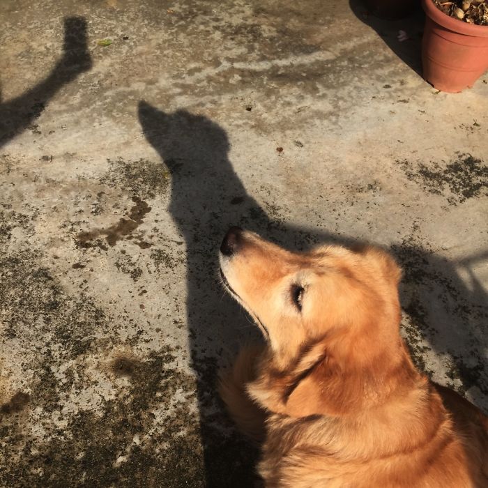 184 Incredible Shadows That Will Make You Look Twice 184 Incredible Shadows That Will Make You Look Twice