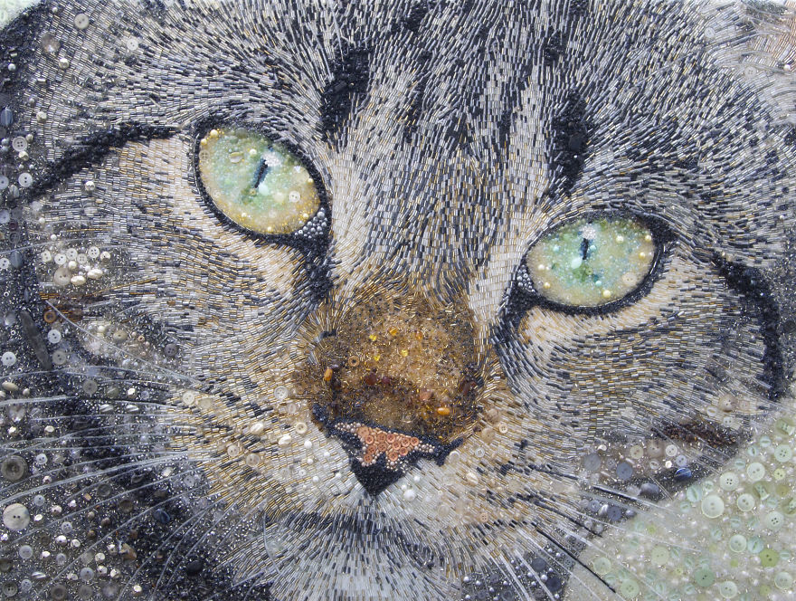 These Animal Portraits Are Not What They Look Like