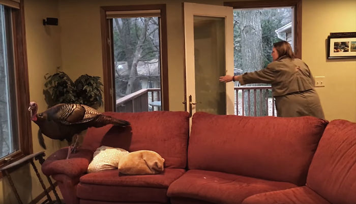 Couple Returns Home From Vacation, And Finds Unexpected Guest Inside Couple Returns Home From Vacation, And Finds Unexpected Guest Inside