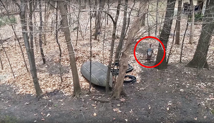 Couple Returns Home From Vacation, And Finds Unexpected Guest Inside Couple Returns Home From Vacation, And Finds Unexpected Guest Inside