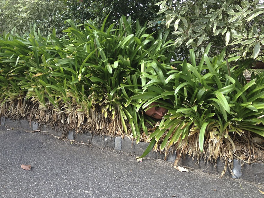Gardener Sends Photos Of Himself At Work To His Friend, He Uploads Them Online And They Go Viral Gardener Sends Photos Of Himself At Work To His Friend, He Uploads Them Online And They Go Viral