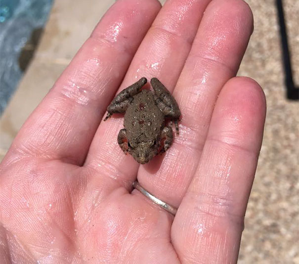 This Genius Invention Is Saving Animals From Terrible Death This Genius Invention Is Saving Animals From Terrible Death