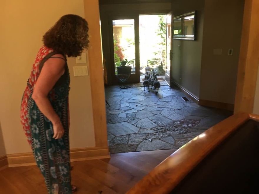 My Parents Have Lived In Their Home For Over 10 Years, This Was The First Time Anything Like This Had Happened My Parents Have Lived In Their Home For Over 10 Years, This Was The First Time Anything Like This Had Happened