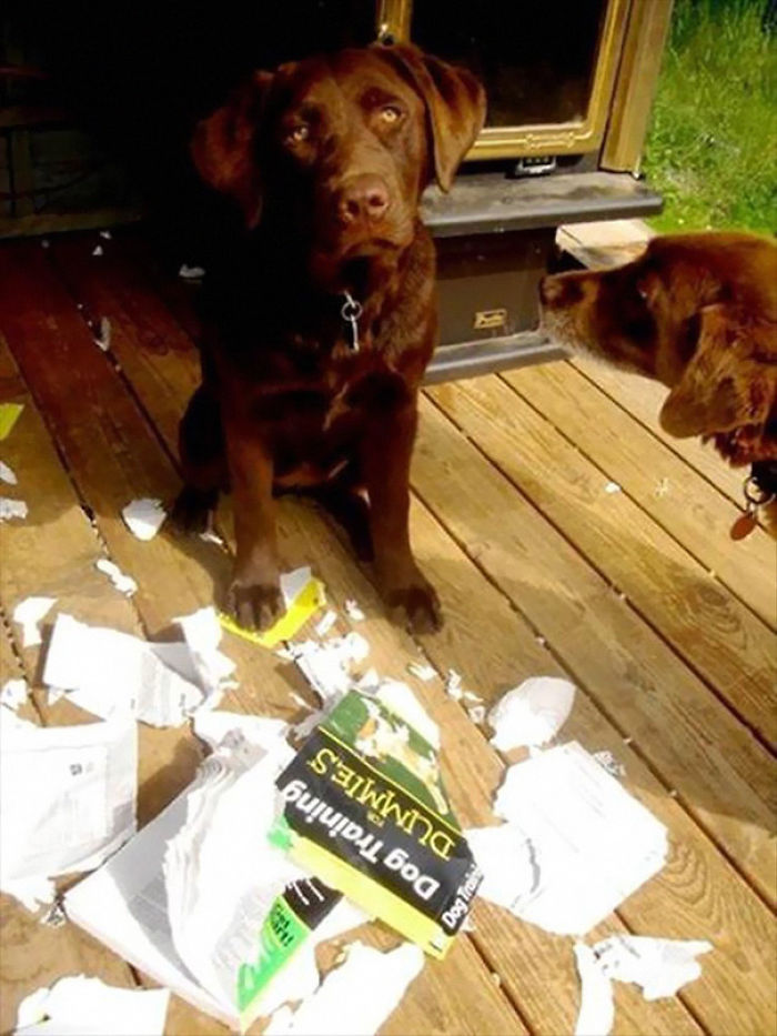 135 Of The Most Ironic Things That Have Ever Happened 135 Of The Most Ironic Things That Have Ever Happened