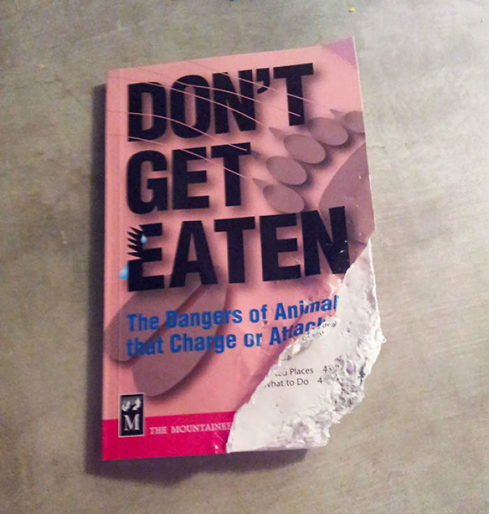 135 Of The Most Ironic Things That Have Ever Happened 135 Of The Most Ironic Things That Have Ever Happened