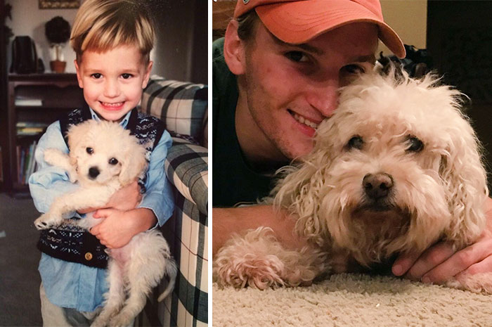 50 Adorable Before & After Pics Of Dogs Growing Up 50 Adorable Before & After Pics Of Dogs Growing Up