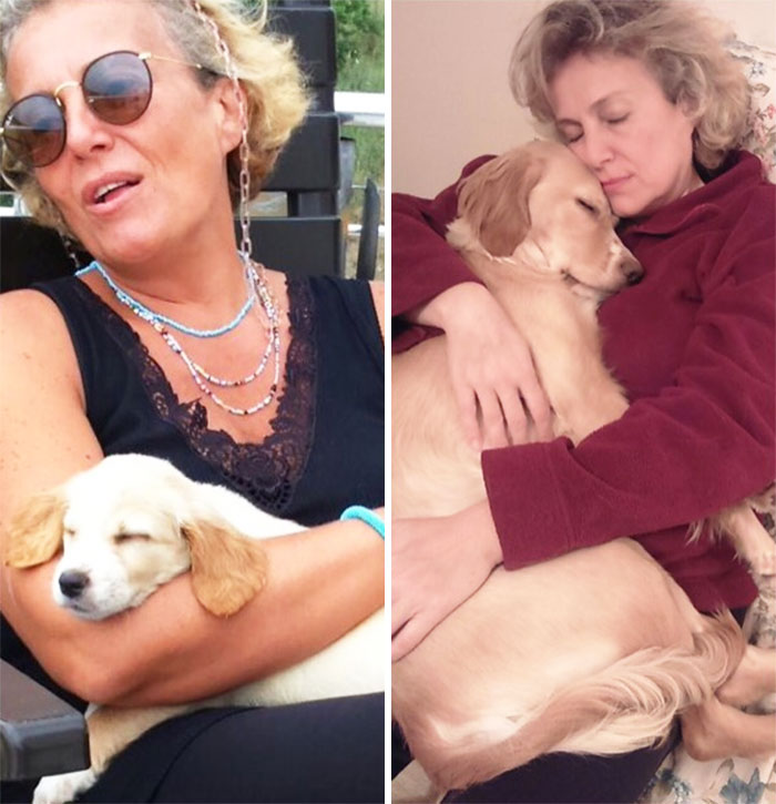 50 Adorable Before & After Pics Of Dogs Growing Up 50 Adorable Before & After Pics Of Dogs Growing Up