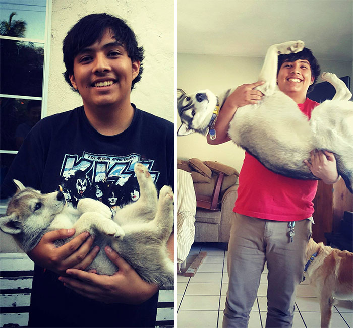 50 Adorable Before & After Pics Of Dogs Growing Up 50 Adorable Before & After Pics Of Dogs Growing Up