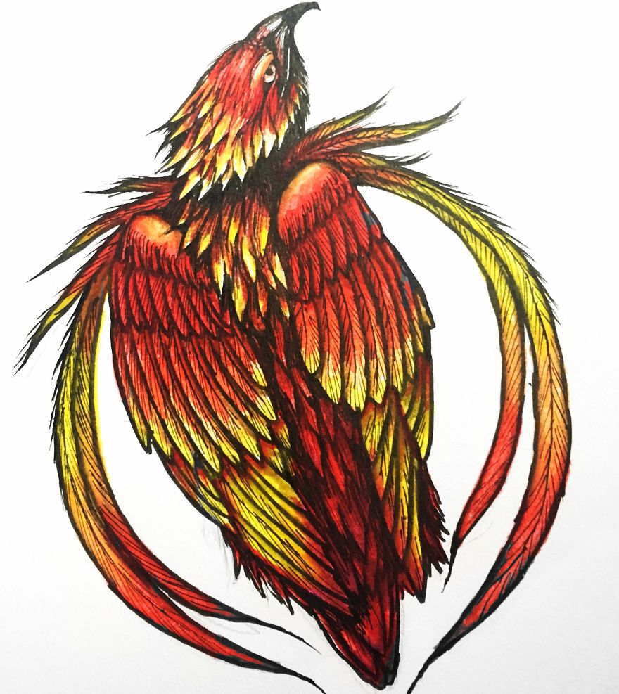 Drawing Mythical Creatures Helps Deal With My Social Anxiety Disorder Drawing Mythical Creatures Helps Deal With My Social Anxiety Disorder