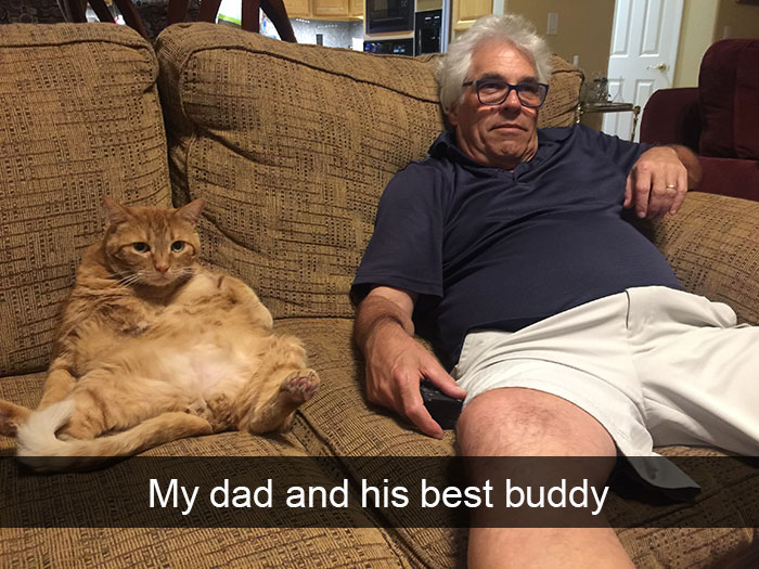 128 Hilarious Cat Snapchats That Are Im-paw-sible Not To Laugh At 128 Hilarious Cat Snapchats That Are Im-paw-sible Not To Laugh At