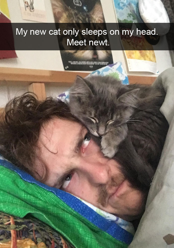 128 Hilarious Cat Snapchats That Are Im-paw-sible Not To Laugh At 128 Hilarious Cat Snapchats That Are Im-paw-sible Not To Laugh At