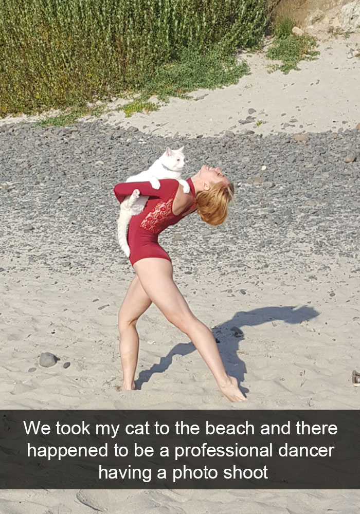128 Hilarious Cat Snapchats That Are Im-paw-sible Not To Laugh At 128 Hilarious Cat Snapchats That Are Im-paw-sible Not To Laugh At