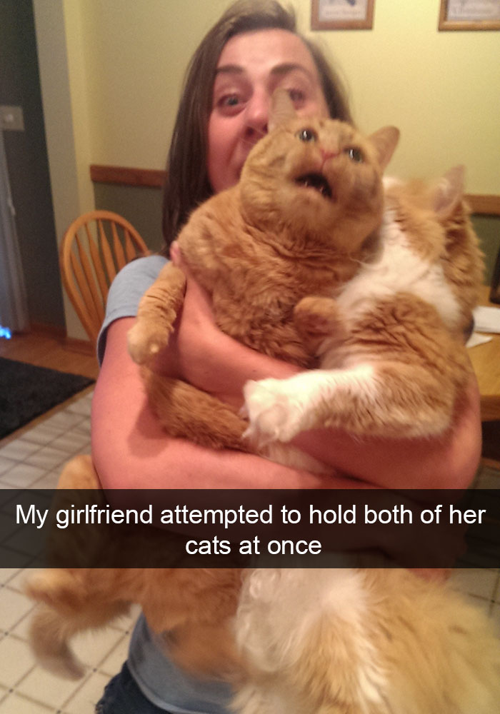 128 Hilarious Cat Snapchats That Are Im-paw-sible Not To Laugh At 128 Hilarious Cat Snapchats That Are Im-paw-sible Not To Laugh At