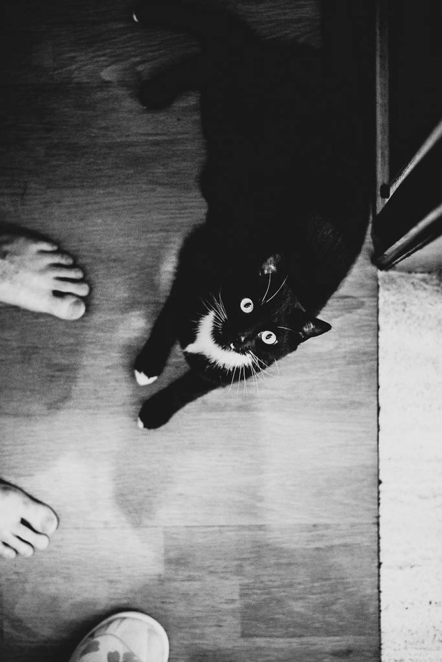 Meet All The Pets I Met While Living With Other People During A Year Meet All The Pets I Met While Living With Other People During A Year